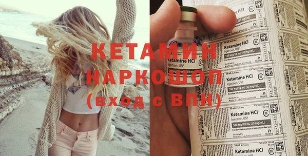 индика Алексин