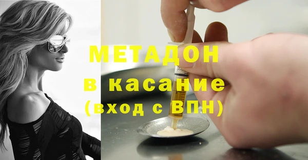 индика Алексин