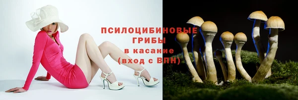 дмт Алексеевка