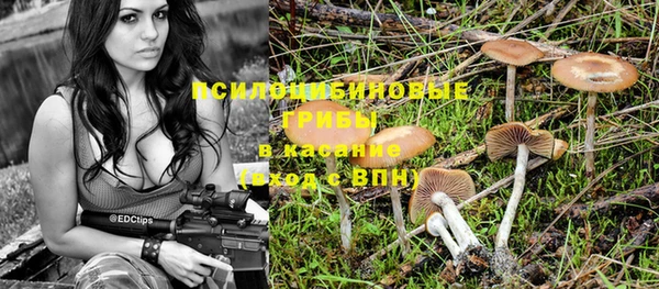 дмт Алексеевка
