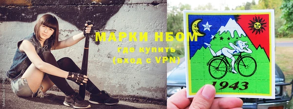 индика Алексин