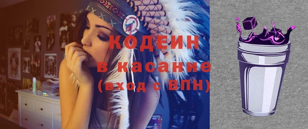 индика Алексин