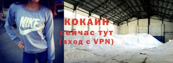 индика Алексин