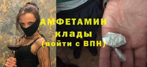 индика Алексин