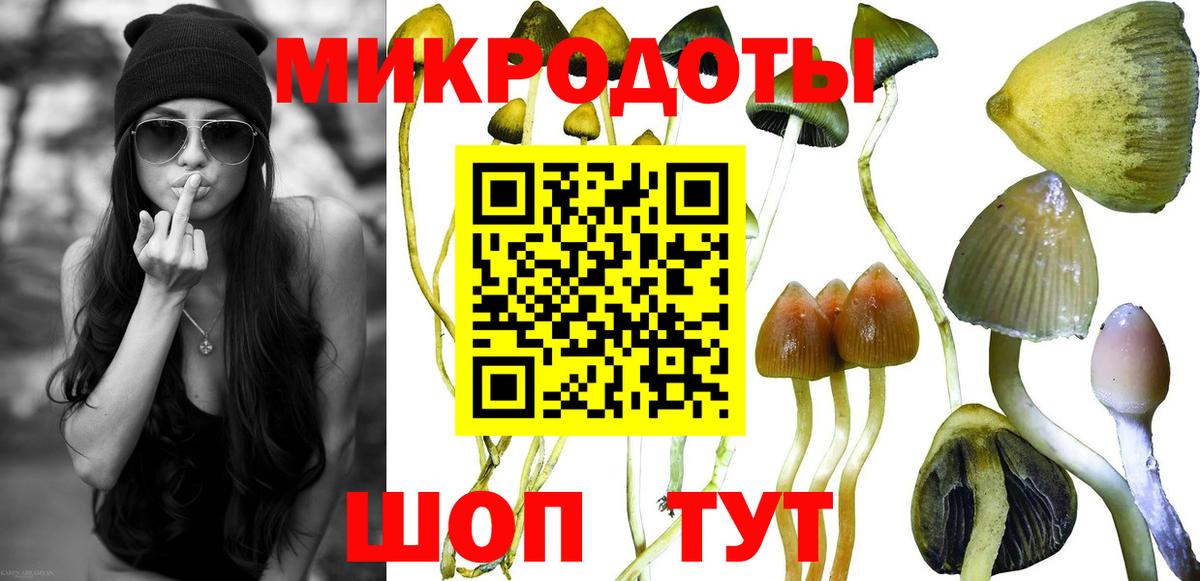 Псилоцибиновые грибы прущие грибы Мыски