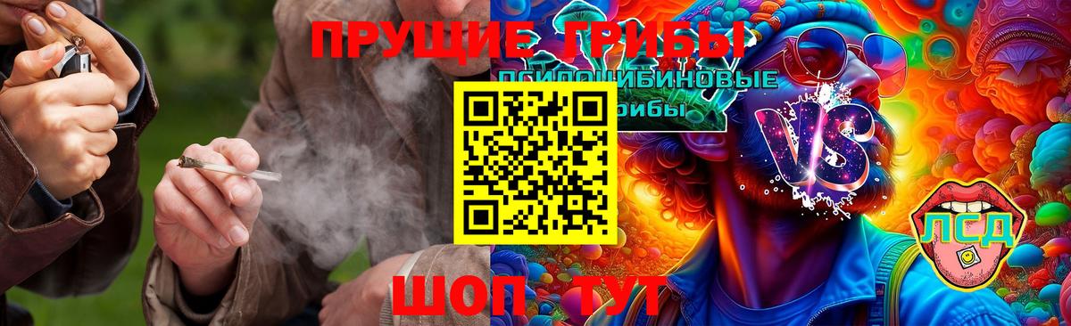 Мыски  Псилоцибиновые грибы Psilocybe  Вход с VPN 